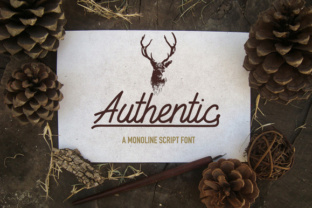 Authentic Font: Elevate Web Design with Natural Script