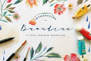 Brandine Typeface: Soft Script for Editorial Design