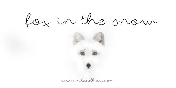 Fox in the Snow Font for Makers