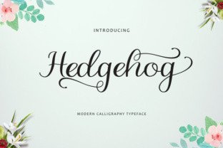 Hedgehog Font: A Script Typeface for Digital Design