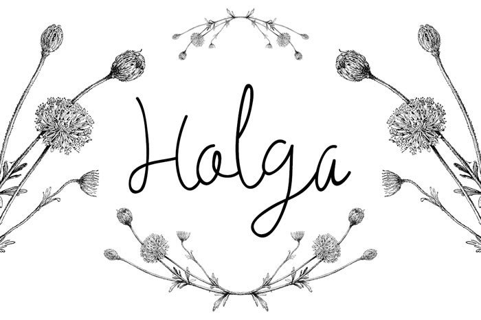 Holga Script Font: A Branding Review