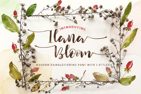 Ilana Bloom: A Modern Script Typeface for Elegant Branding