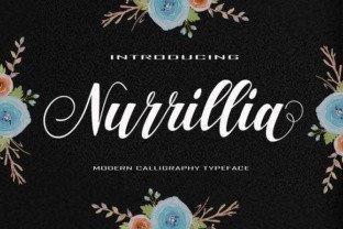 Nurrillia Typeface: A Designer’s Guide