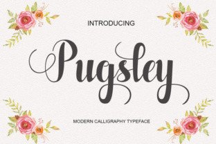 Pugsley: A Handwritten Typeface for Editorial Charm