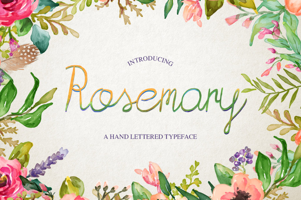 Rosemary Font: A Web Designer’s Guide