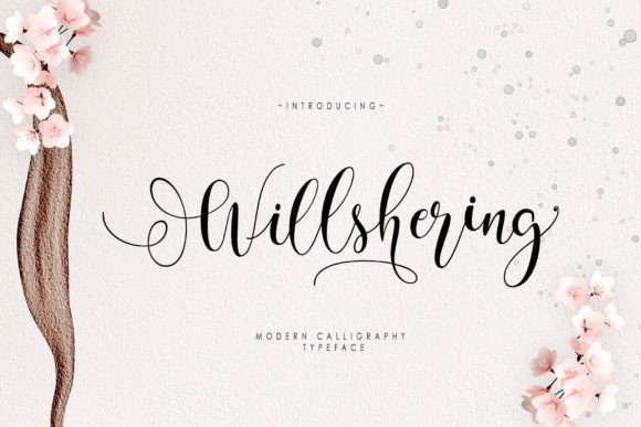 Will Shering: A Designer’s Honest Review